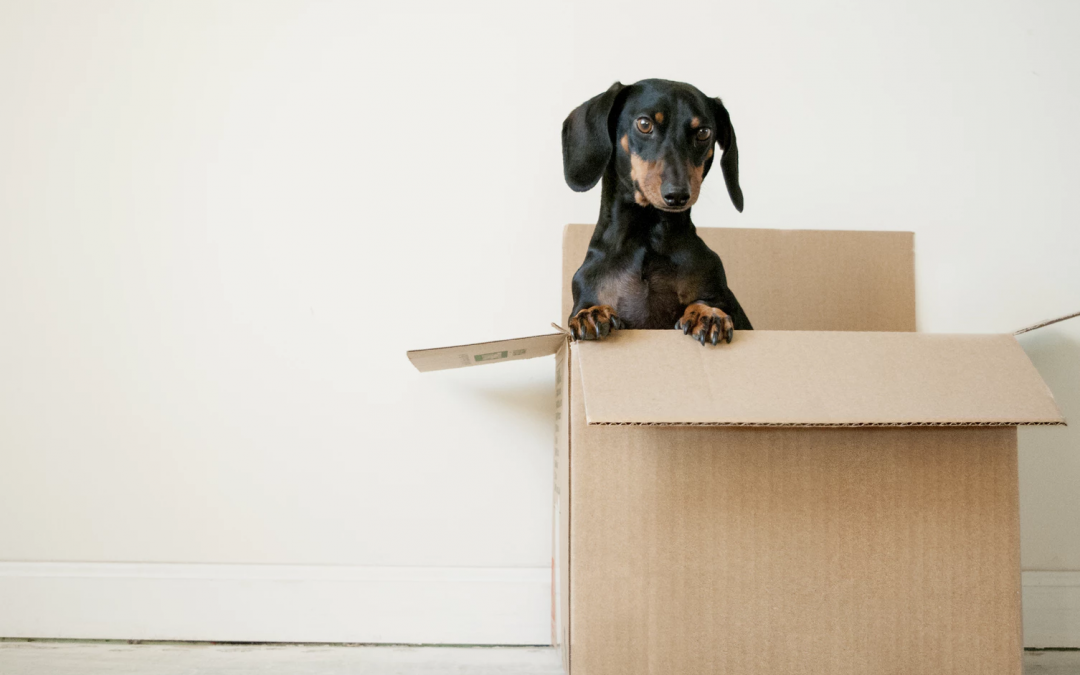 property management victoria