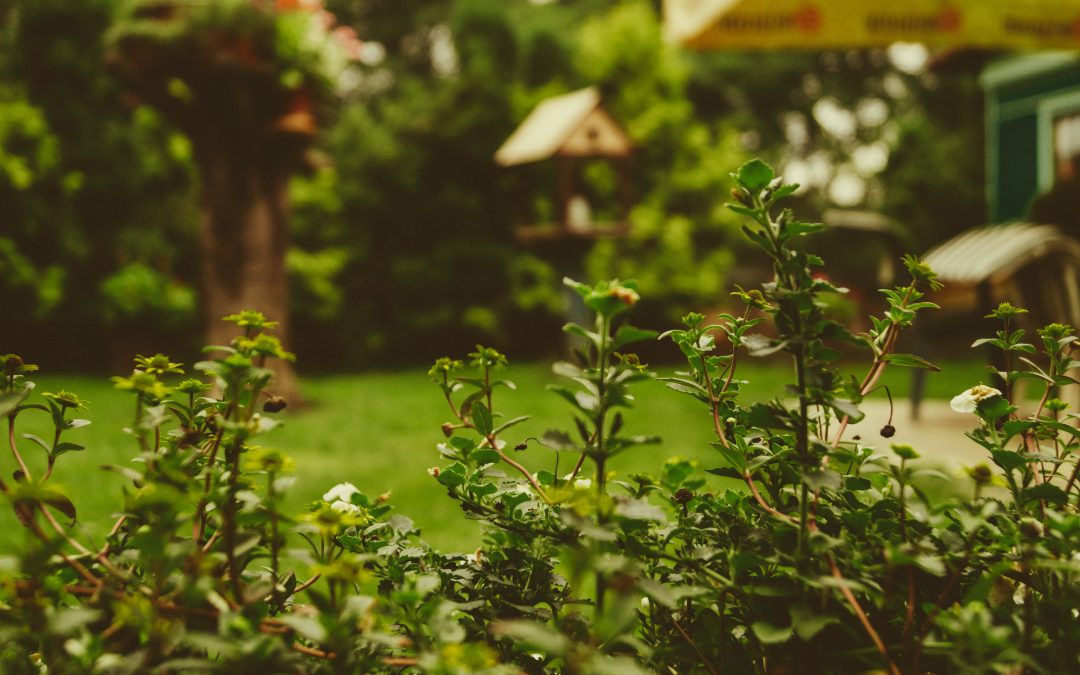 Spring Maintenance Tips and Tricks