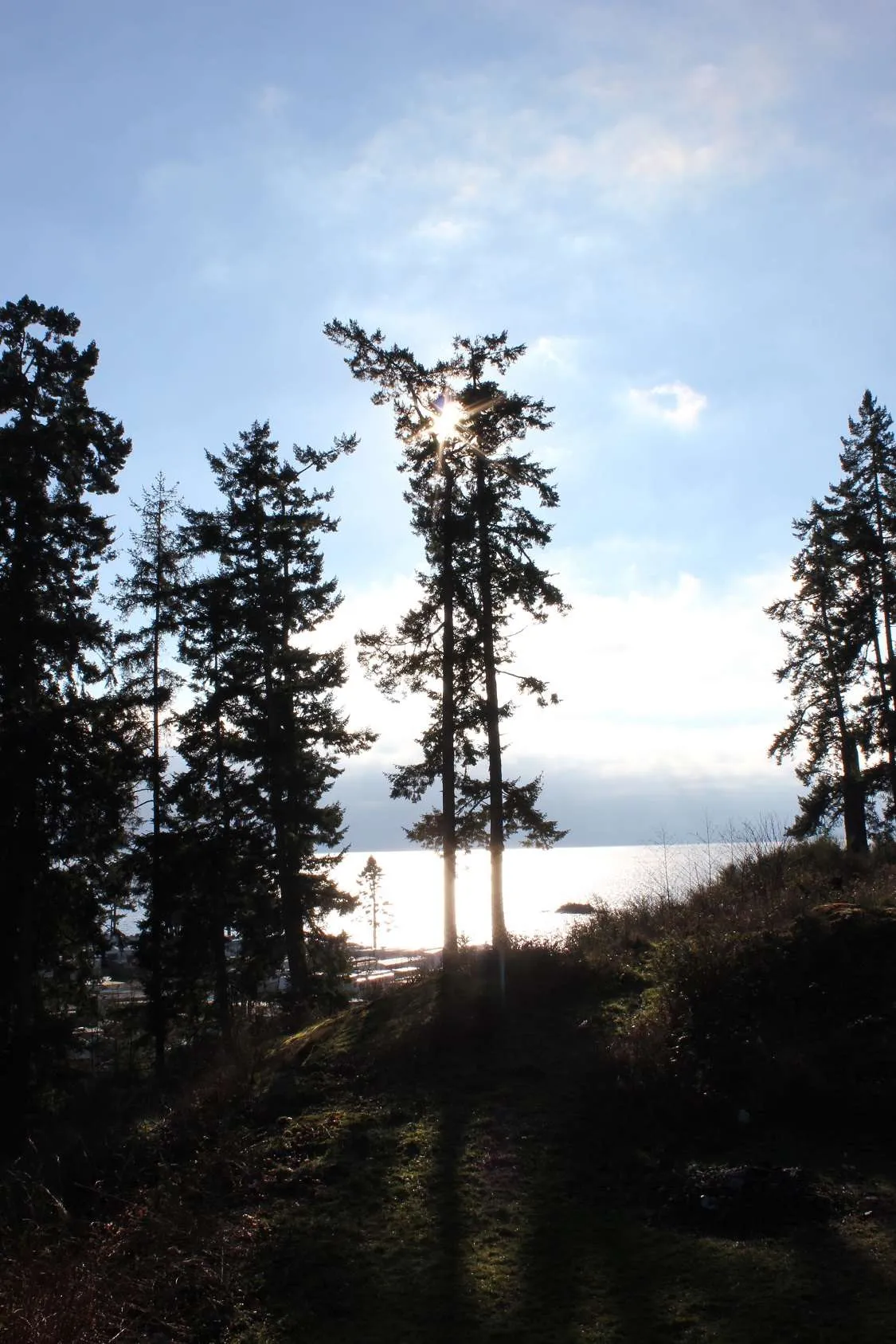 2232 Kemp Lake Rd-Main