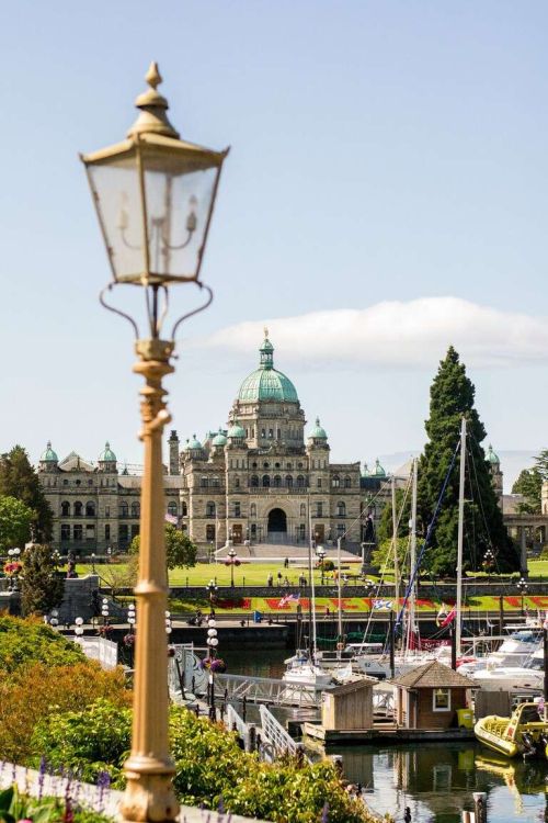 Security in a Competitive Market: Navigating Victoria’s Rental Scams